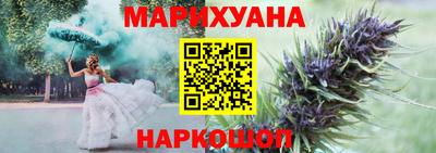 индика Дубна