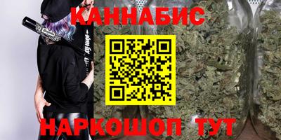 индика Дубна