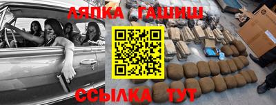 индика Дубна
