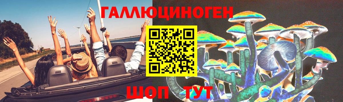 Псилоцибиновые грибы GOLDEN TEACHER Медногорск