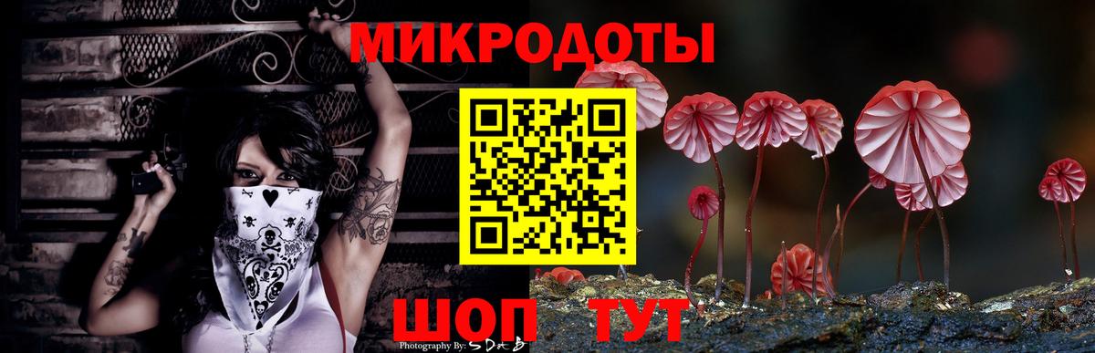 Медногорск  Галлюциногенные грибы мухоморы  где купить   Вход с VPN 